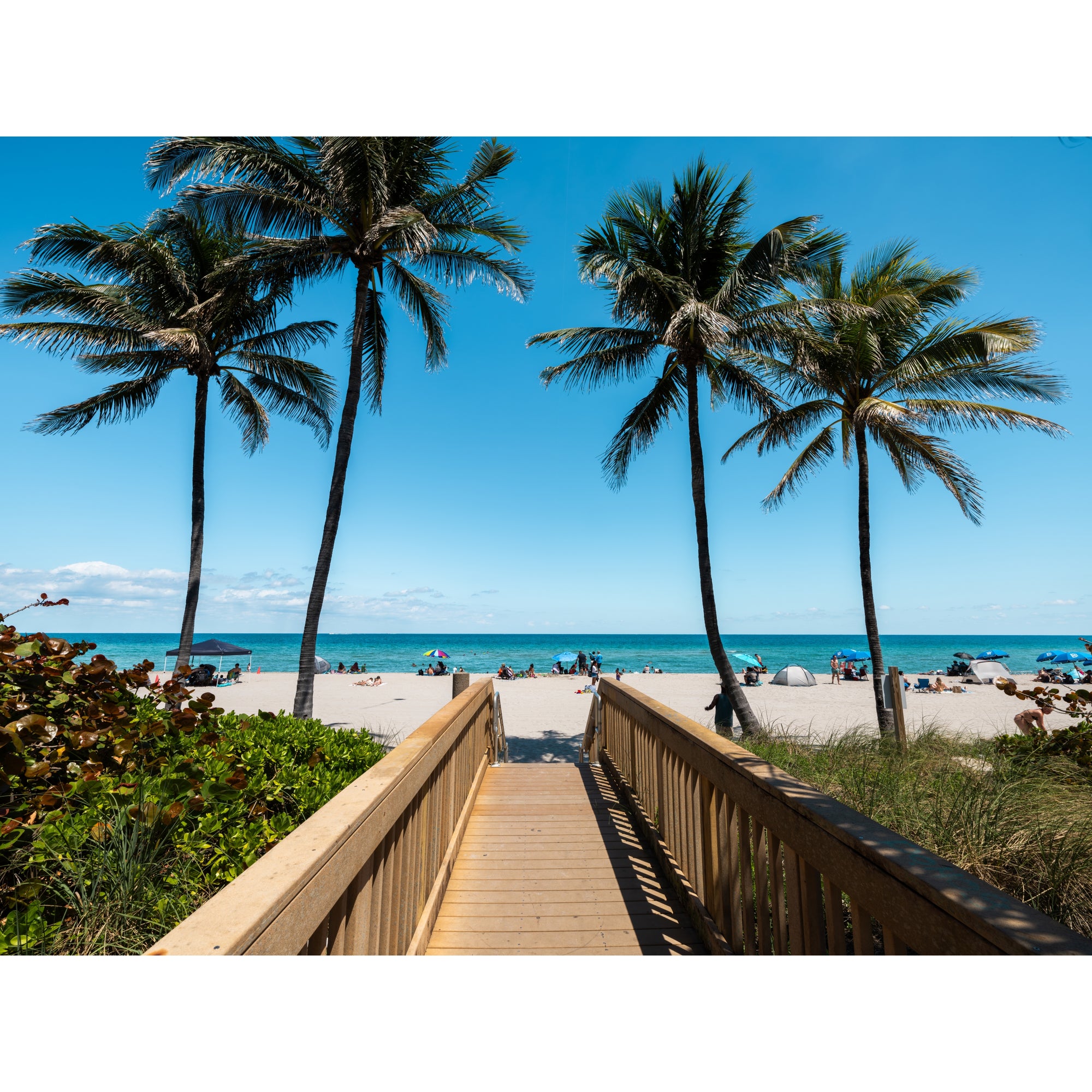 Entrance to the Beach | Miami Beach