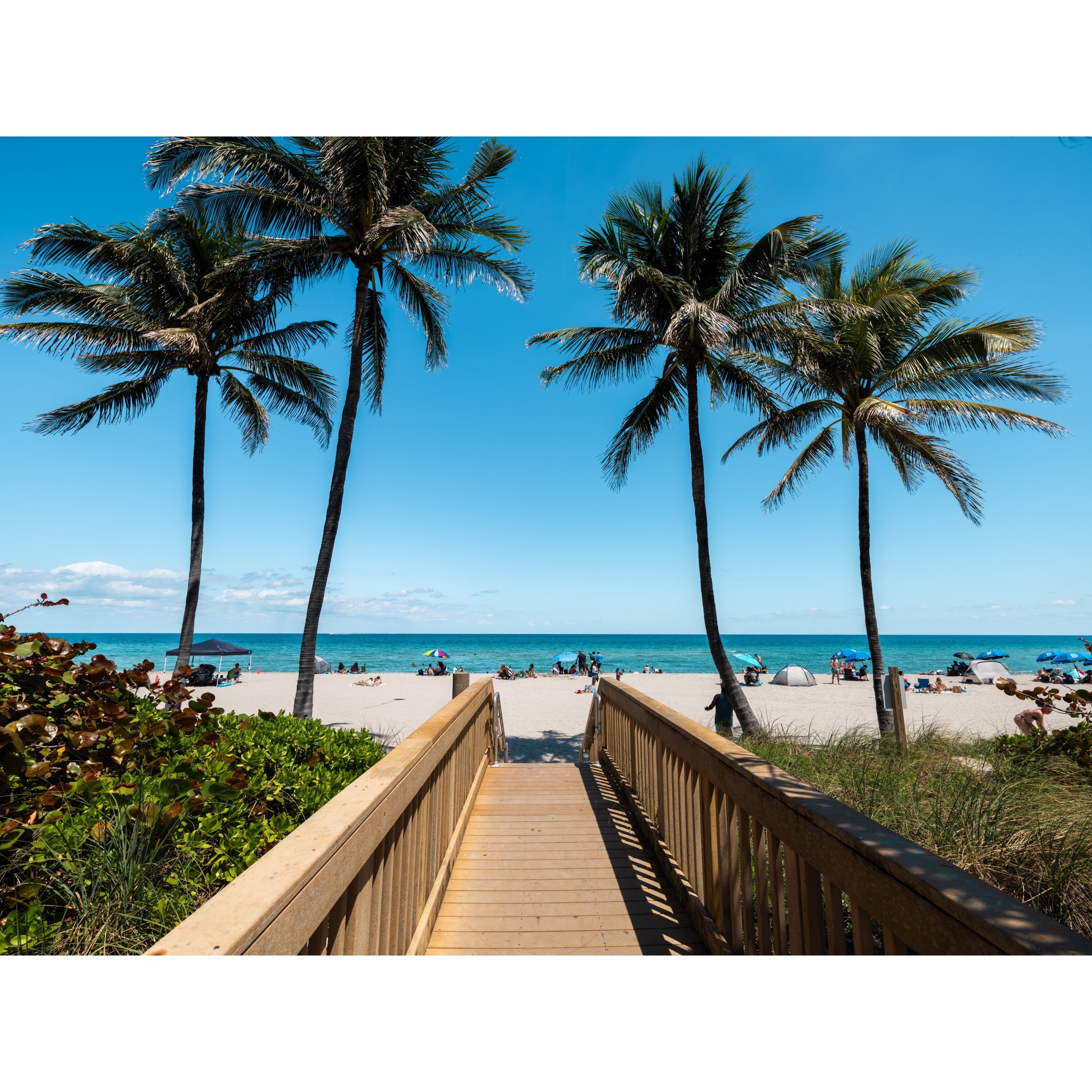 Entrance to the Beach | Miami Beach